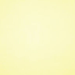 Meet your Posher, Zanaria